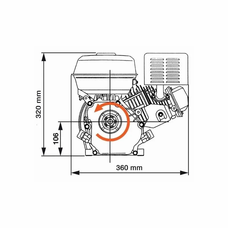 Motor uz general Gospodarul Profesionist - 7 CP + 1 ulei 0.6L + fulie dubla